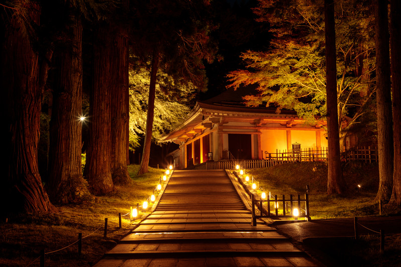 【夢占い】神社の夢は吉夢？暗示を行動別に解説！参拝など | Lovely[ラブリー]のイメージ