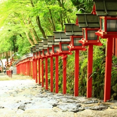 神社参拝の作法：願い事を叶えるお参り方法とマナー