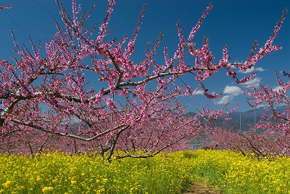 茨城のデートスポット・プランおすすめ21選！定番から穴場まで | Lovely[ラブリー]のイメージ