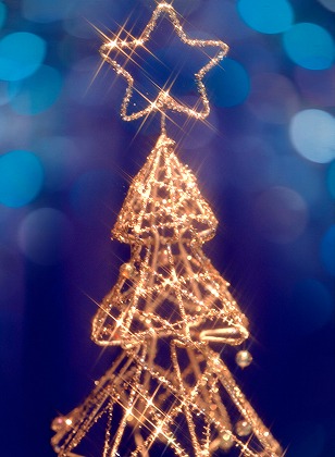 千葉のイルミネーションスポット特集！クリスマスデートならここ！ | Lovely[ラブリー]のイメージ