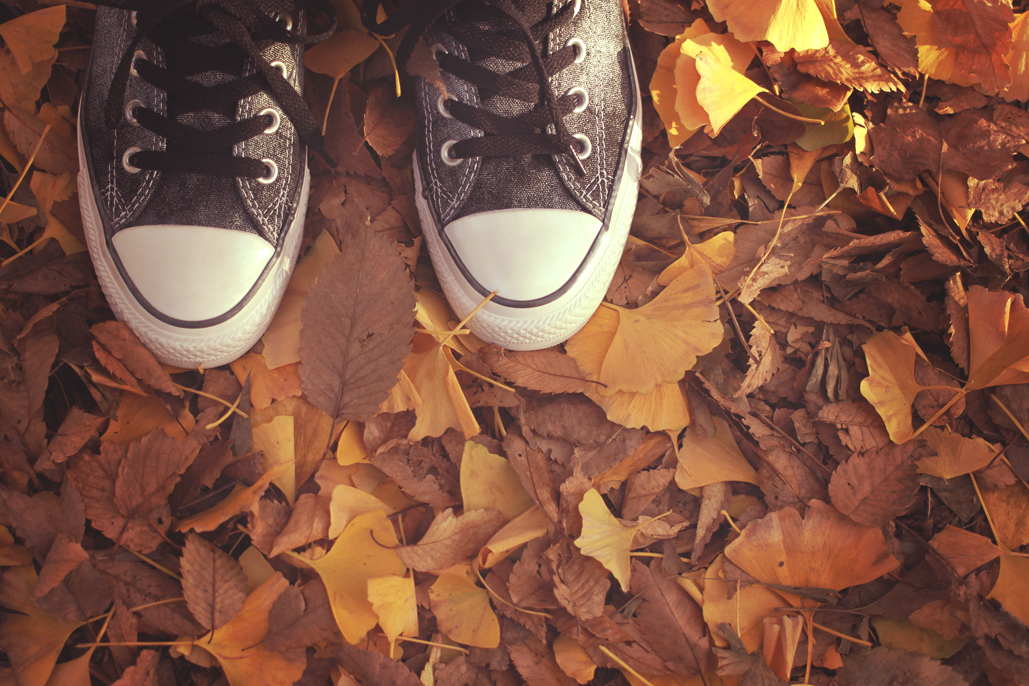 GUのプリーツスカートがおしゃれ！ユニクロとどっちがおすすめ？ | Lovely[ラブリー]のイメージ