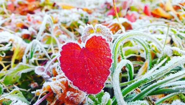 好きって何？恋愛感情を見極める方法9選！ | Lovely[ラブリー]のイメージ