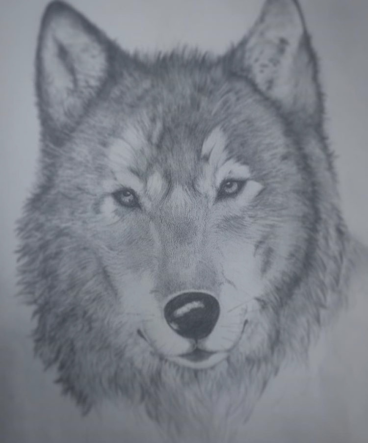 送り狼の意味や語源は？送り狼になった男子をかわす方法とは？ | Lovely[ラブリー]のイメージ