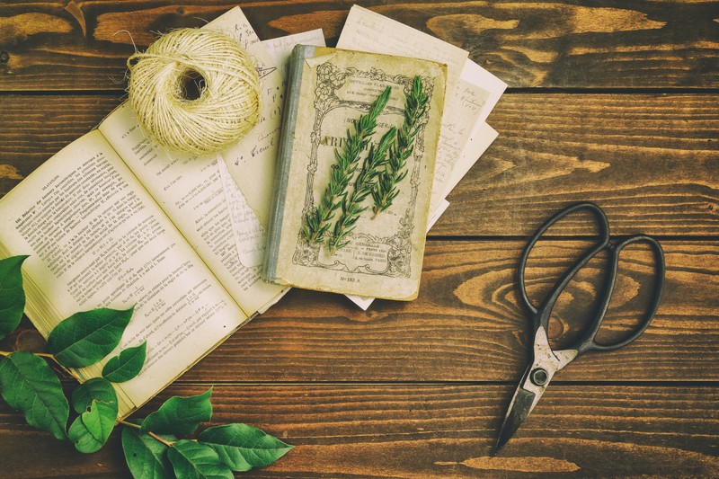 藤井萩花のショートヘアが素敵！髪型を真似するコツは？ | Lovely[ラブリー]のイメージ