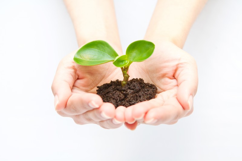 ニードルでのピアスの開け方！注意点やケア方法も解説します！ | Lovely[ラブリー]のイメージ