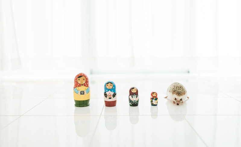 ロシア人の性格と特徴！男性・女性別の結婚観も解説！ | Lovely[ラブリー]のイメージ