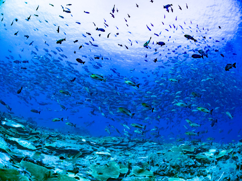 7788のエンジェルナンバーの意味は？恋愛のメッセージは？ | Lovely[ラブリー]のイメージ