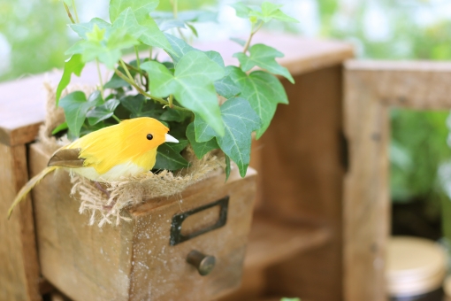 姫路の雑貨屋おすすめ11選！おしゃれなカフェも紹介します♡ | Lovely[ラブリー]のイメージ