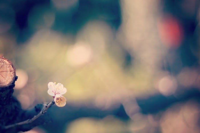 オレンジシャドウでトレンドフェイス！おすすめ＆メイクのコツは？ | Lovely[ラブリー]のイメージ