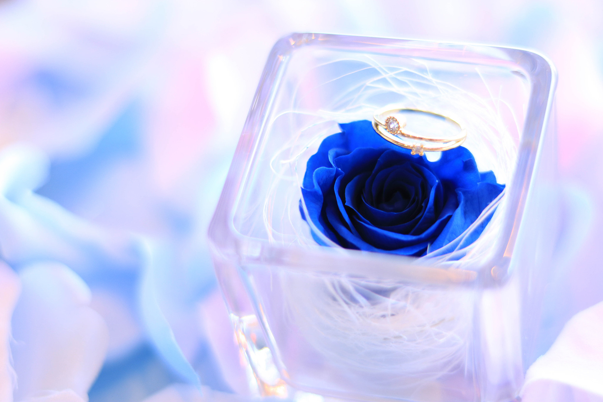 佐藤仁美の歴代彼氏は超大物のあの人！？結婚までの絶対条件も紹介♡ | Lovely[ラブリー]のイメージ