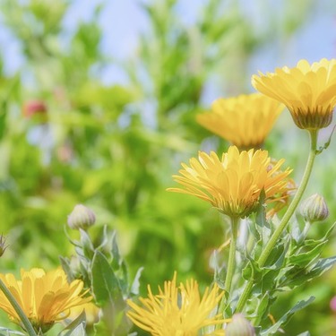 あいみょんの曲一覧！ドラマや映画の主題歌も！人気ランキング10選