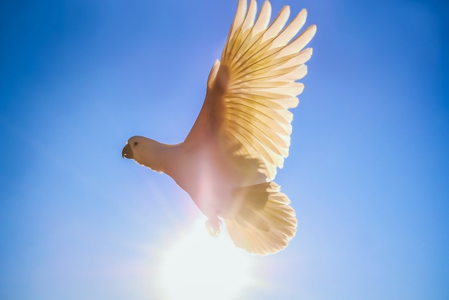 本田翼の胸が大きくなった！実はDカップ？【セクシー画像127枚】	 | Lovely[ラブリー]のイメージ