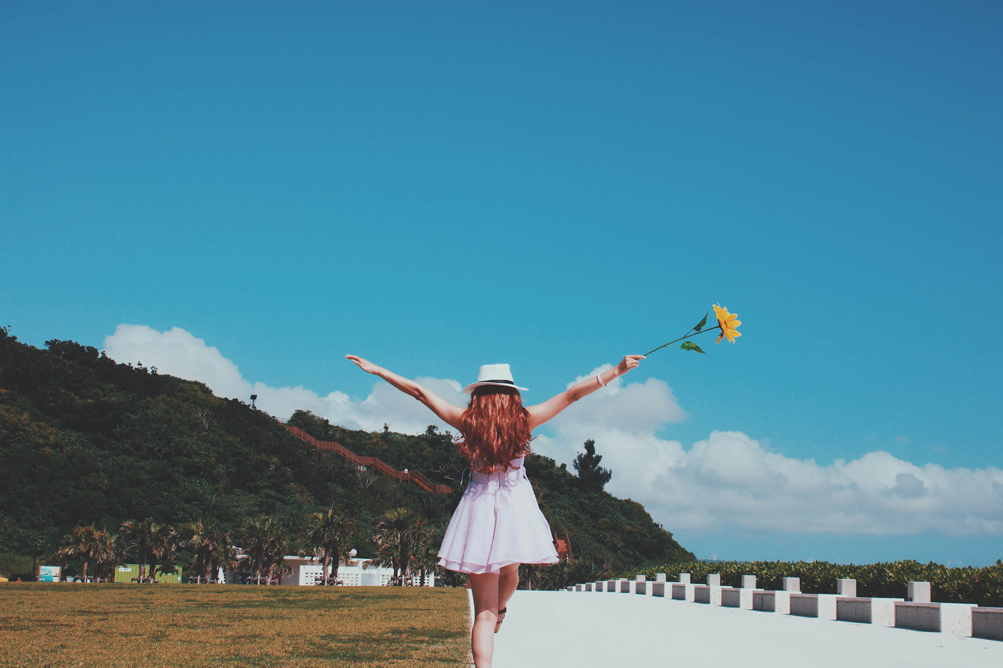 帰化した芸能人や有名人の衝撃ランキングTOP105！政治家や実業家も紹介！ | Lovely[ラブリー]のイメージ