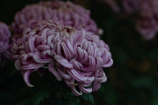 怖い！漢字の由来や成り立ちから知る本当は怖い漢字10選！ | Lovely[ラブリー]のイメージ