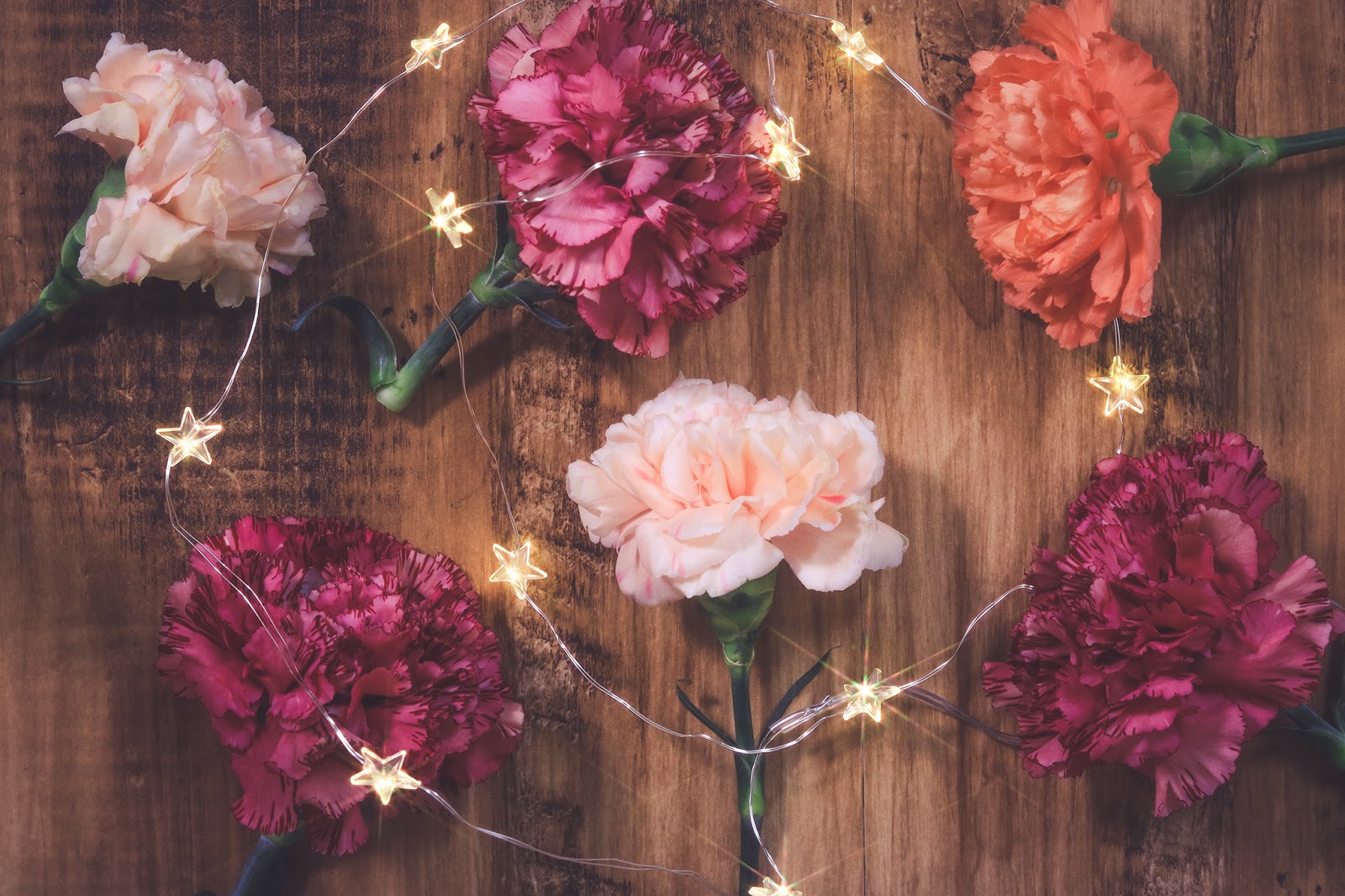  2月24日の誕生石・誕生花・星座・運勢・相性は？【365日誕生日占い】 | Lovely[ラブリー]のイメージ