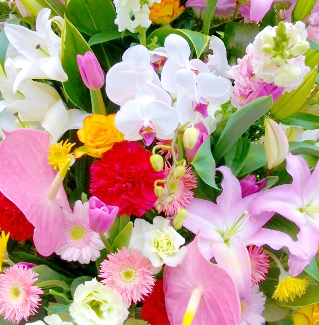 2月11日の誕生石・誕生花・星座・運勢・相性は？【365日誕生日占い】 | Lovely[ラブリー]のイメージ