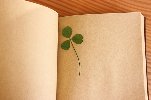  2月26日の誕生石・誕生花・星座・運勢・相性は？【365日誕生日占い】 | Lovely[ラブリー]のイメージ