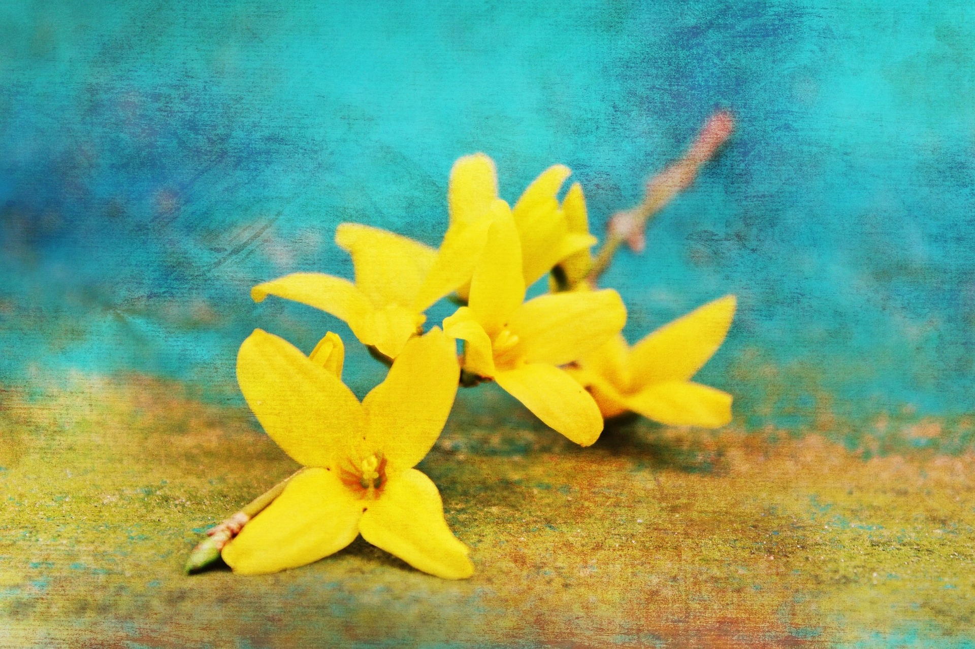 4月6日の誕生石・誕生花・星座・運勢・相性は？【365日誕生日占い】	 | Lovely[ラブリー]のイメージ