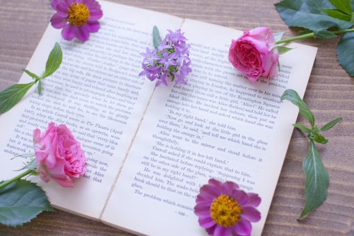 9月28日の誕生石・誕生花・星座・運勢・相性は？【365日誕生日占い】 | Lovely[ラブリー]のイメージ