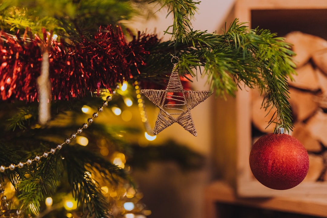 12月25日の誕生石・誕生花・星座・運勢・相性は？【365日誕生日占い】 | Lovely[ラブリー]のイメージ