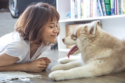 縁起のいい犬の名前49選！海外の言葉や姓名判断まで総ざらい！	のイメージ