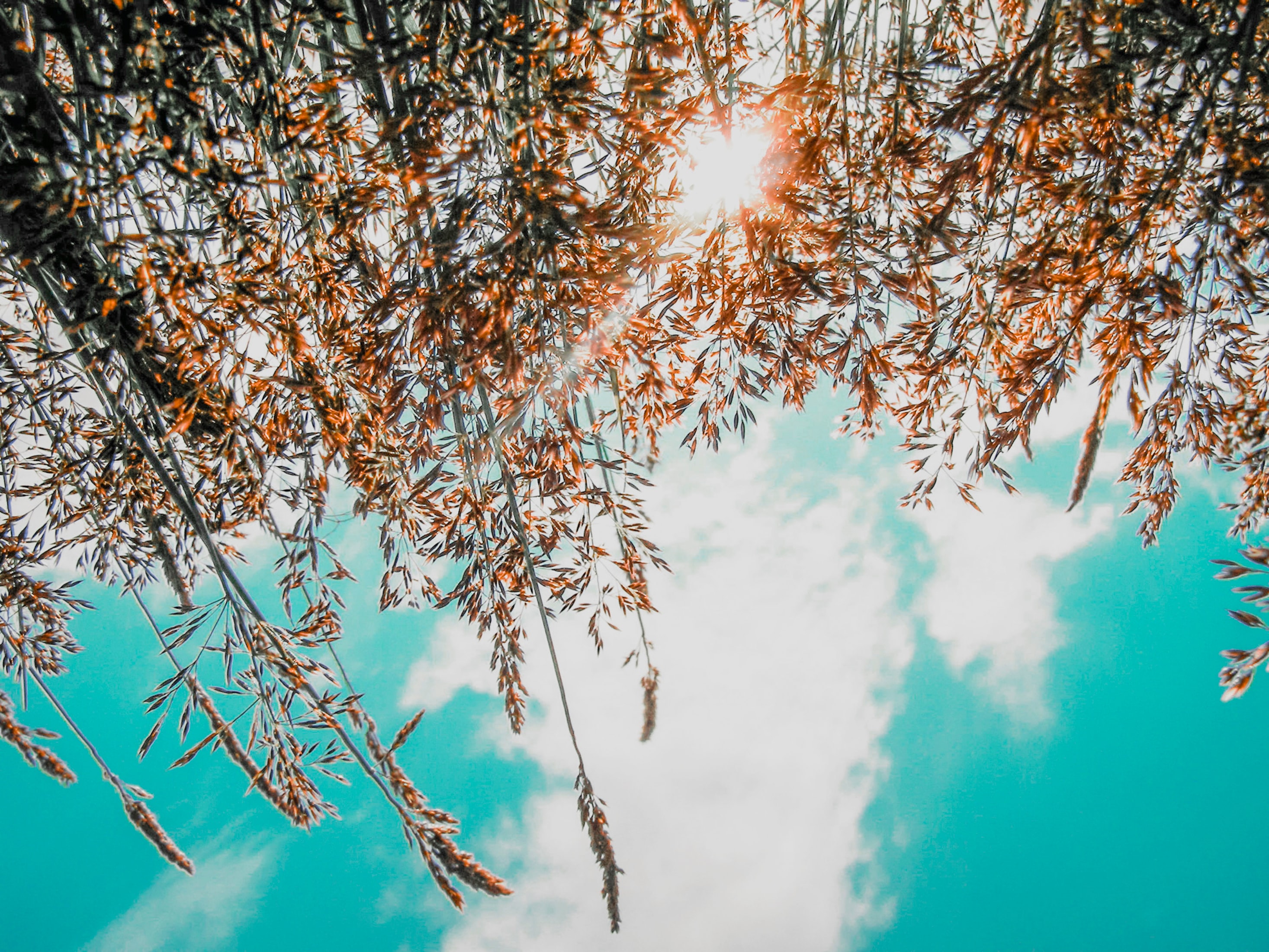 『みんなの九州きっぷ』がすごすぎ！夏の週末旅×JR九州の7つの旅プラン♡ | Lovely[ラブリー]のイメージ