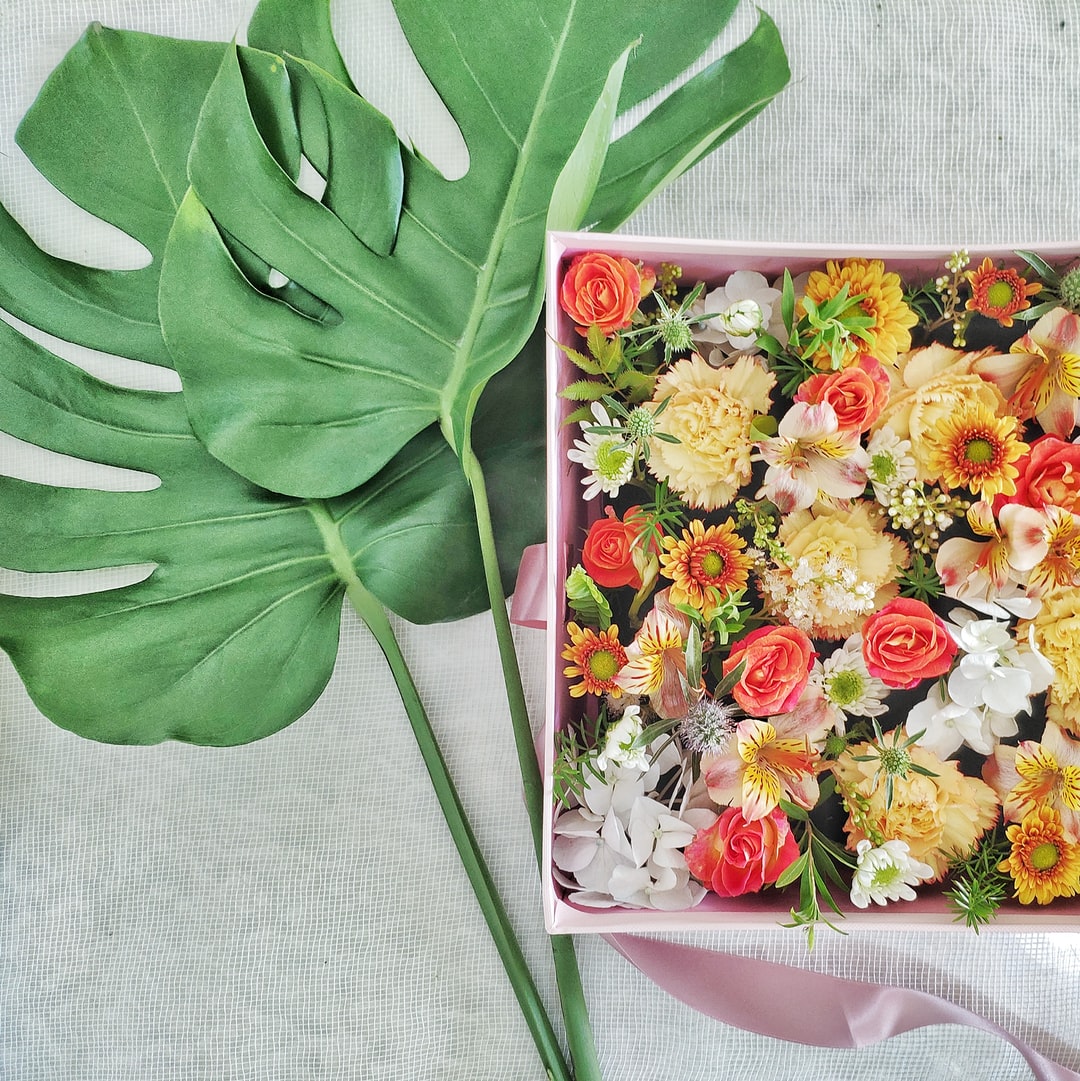 「帰歳暮」が帰省代わりのトレンドに！会えない家族に贈りたいカジュアルギフト4選のイメージ