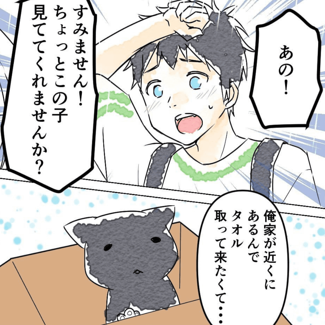 子猫が繋いだ恋【Lovely漫画】のイメージ